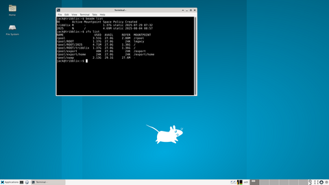 Looking boot environments and filesystem snapshots