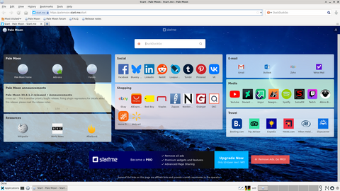 Running the Pale Moon web browser
